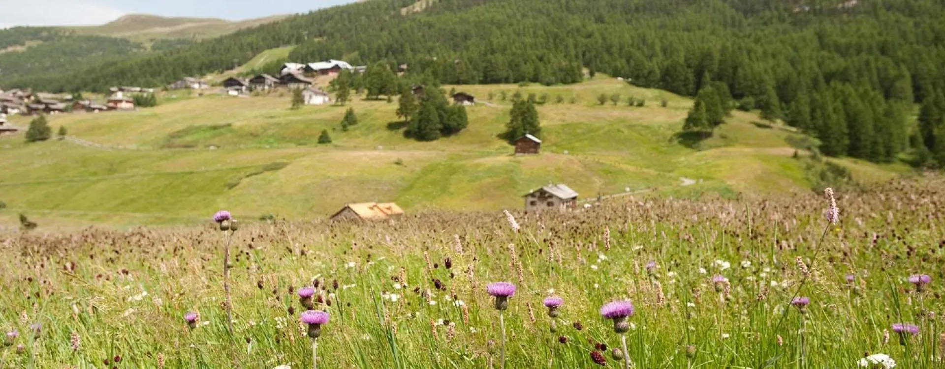 Sole - Casa Azzurra Piano Terra Apartman Livigno